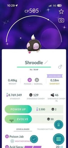 Pokémon shroodle - pokémon,